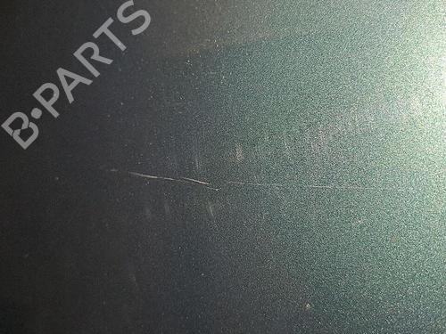 Used Hood RENAULT TWINGO I (C06_) 1.2 (C063, C064) (55 hp) 30076875