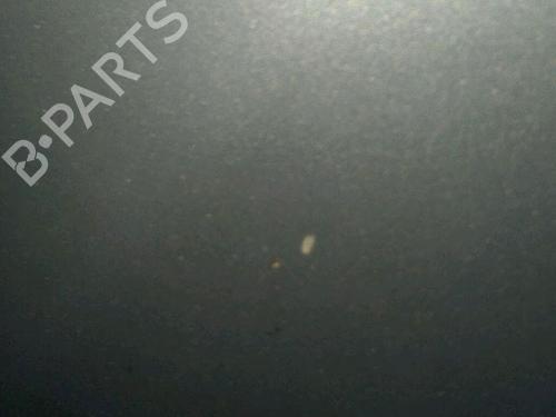 Used Hood Hood RENAULT ESPACE IV (JK0/1_) 2.2 dCi (JK0H) (150 hp) 30064444 30064444