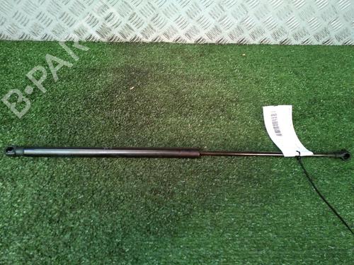 Used Tailgate lift support PEUGEOT 107 (PM_, PN_) 1.4 HDi (54 hp) 17161958