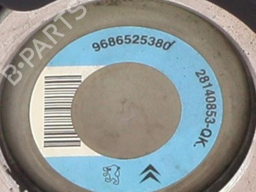 Steering pump PEUGEOT 206+ (2L_, 2M_) 1.4 HDi eco 70 | BP32474803M99 - Image 2