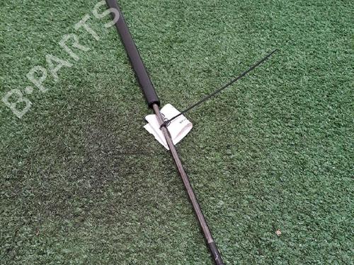 Tailgate lift support PEUGEOT 107 (PM_, PN_) 1.0 | BP25150777C138 