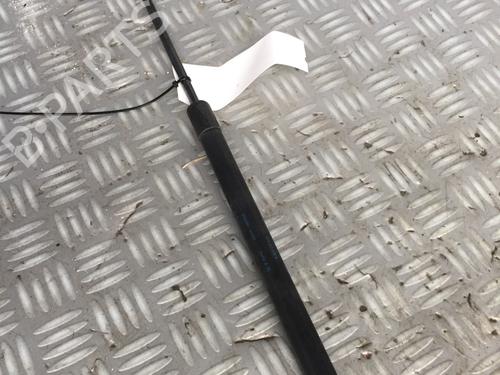 Used Tailgate lift support SEAT ALTEA (5P1) 1.9 TDI (105 hp) 17162679