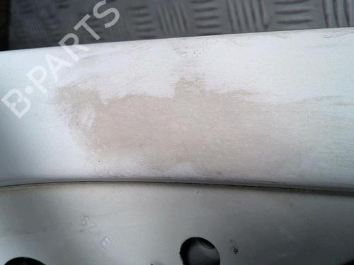 Left front door RENAULT KANGOO Express (FC0/1_) D 55 1.9 (FC0D) | BP30076394C2 