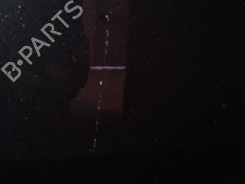 Tailgate RENAULT SCÉNIC III (JZ0/1_) 1.5 dCi | BP29950605C6 