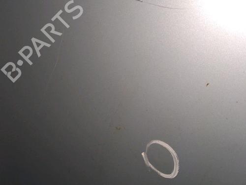 Hood RENAULT MEGANE II (BM0/1_, CM0/1_) 1.9 dCi (BM0G, CM0G) | BP17976230C1 
