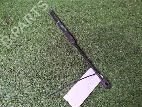 Tailgate lift support CITROËN C3 I (FC_, FN_) 1.4 HDi | BP19918189C138 