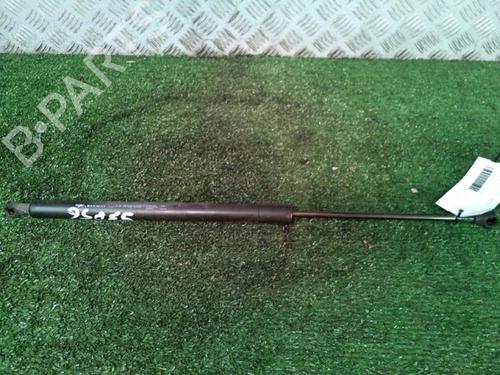 Tailgate lift support RENAULT SCÉNIC III (JZ0/1_) 1.5 dCi | BP30073795C138