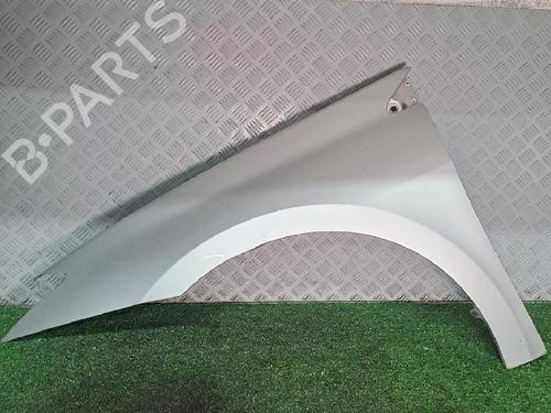 Used Left front fenders RENAULT LAGUNA III (BT0/1) 1.5 dCi (BT00, BT0A, BT0T, BT1J) (110 hp) 22307169