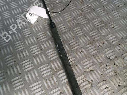 Used Tailgate lift support AUDI A2 (8Z0) 1.4 TDI (75 hp) 17162698
