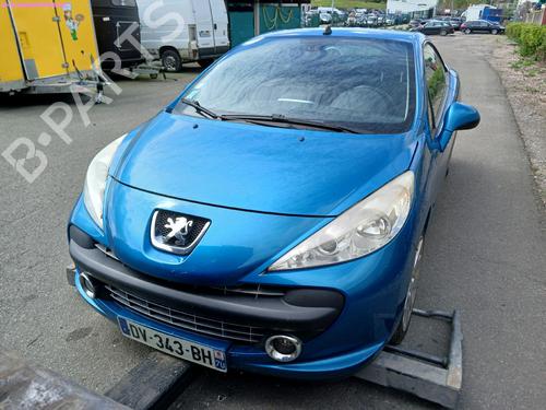 Ignition barrel PEUGEOT 207 CC (WD_) 1.6 HDi | BP18317489M48 