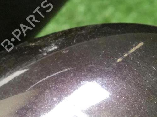 Left mirror NISSAN MICRA IV (K13K, K13KK) 1.2 | BP30076130C26 