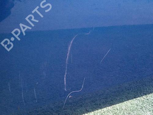 Left front door RENAULT GRAND SCÉNIC II (JM0/1_) 2.0 dCi (JM1K) | BP30071779C2 