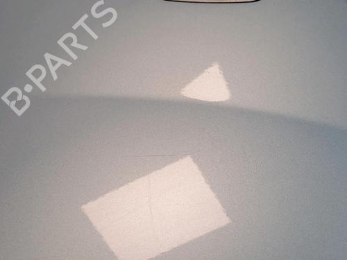 Used Left front fenders RENAULT KANGOO / GRAND KANGOO II (KW0/1_) 1.5 dCi 85 (KW0K, KW0L, KW0B) (86 hp) 30068102