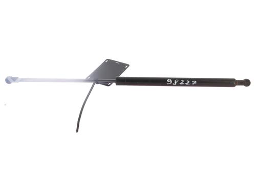 tailgate-lift-support-fiat-panda-169_-2003-30542154 main image