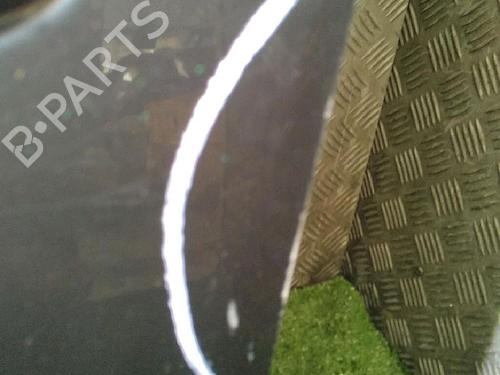 Used Left front door RENAULT CLIO III (BR0/1, CR0/1) 1.2 16V Hi-Flex (BR1U, CR1U) (75 hp) 30063695