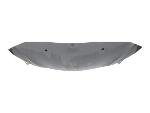 hood-citroen-ds3-sa_-2009-2010-2011-2012-2013-2014-2015-2016-40527795 main image
