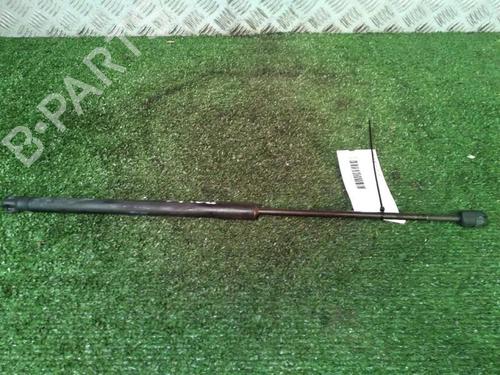 Tailgate lift support DACIA SANDERO 1.2 16V | BP30073794C138 