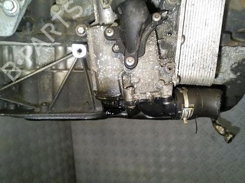 Used Engine RENAULT LAGUNA III (BT0/1) 2.0 dCi (BT07, BT0J, BT14, BT1A, BT1S) (131 hp) 30063329