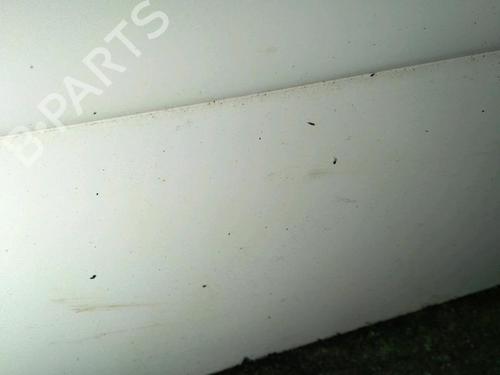 Right front door PEUGEOT 206 Hatchback (2A/C) 2.0 S16 | BP21830021C3 