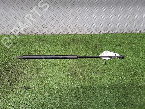 Tailgate lift support RENAULT SCÉNIC IV (J9_) 1.7 Blue dCi 150 (J9A7, J9A8) 904509291R