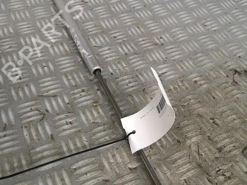 Tailgate lift support VW GOLF IV (1J1) 1.9 TDI | BP30065127C138