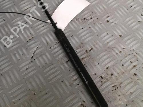 Used Hood lift support Hood lift support RENAULT ESPACE IV (JK0/1_) 2.0 dCi (JK03, JK04, JK1C, JK1G, JK1J, JK1K) (173 hp) 30069284 30069284