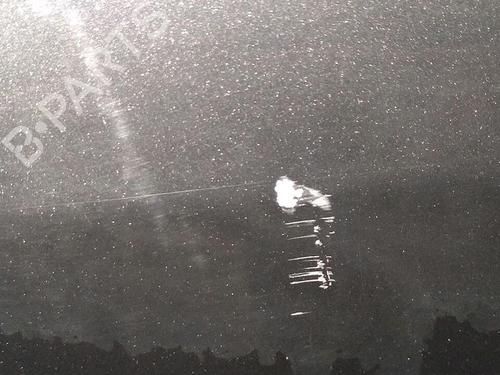 Used Right rear door RENAULT MEGANE II (BM0/1_, CM0/1_) 1.6 16V (112 hp) 30076511