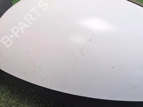 Used Left mirror SKODA FABIA II (542) 1.4 TDI (70 hp) 30067948