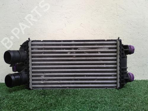 Intercooler PEUGEOT 2008 II (UD_, US_, UY_, UJ_, UR_, UC_) 1.2 PureTech 100 (USHNK) (101 hp) 31038821
