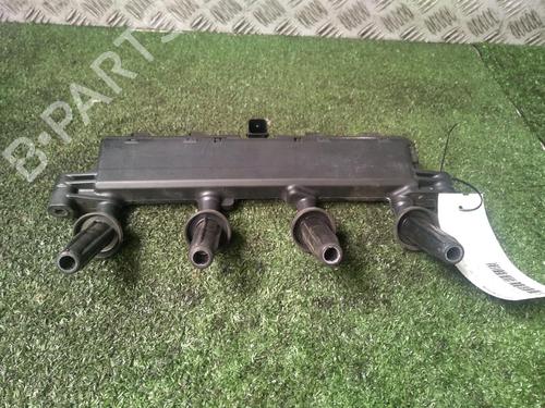 Used Injection rail PEUGEOT 206+ (2L_, 2M_) 1.1 (60 hp) 13886919