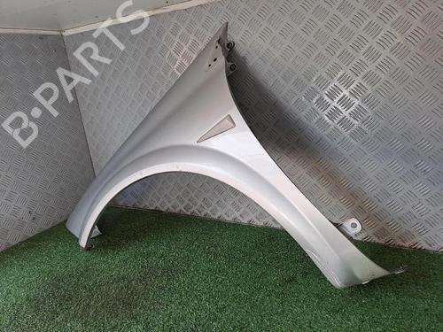 Left front fenders RENAULT MEGANE II (BM0/1_, CM0/1_) 1.5 dCi (BM1F, CM1F) | BP20163513C41 