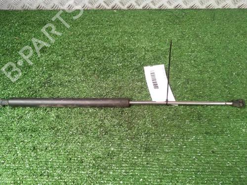 Used Tailgate lift support Tailgate lift support RENAULT LAGUNA II (BG0/1_) 1.9 dCi (BG08, BG0G) (120 hp) 30073545 30073545