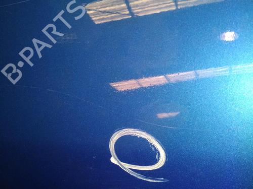 Left front door PEUGEOT 206 Hatchback (2A/C) 2.0 HDI 90 | BP23215211C2 