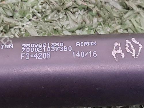 Used Tailgate lift support DS DS 3 (SA_) 1.6 BlueHDi 100 (SABHY0, SABHYT) (99 hp) 29948226