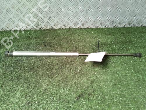 Tailgate lift support VW GOLF IV (1J1) 1.9 TDI | BP17980593C138 