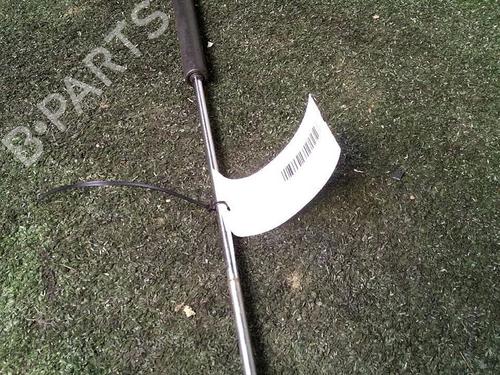 Used Tailgate lift support RENAULT SCÉNIC I MPV (JA0/1_, FA0_) 1.9 dTi (JA0N) (98 hp) 29951609