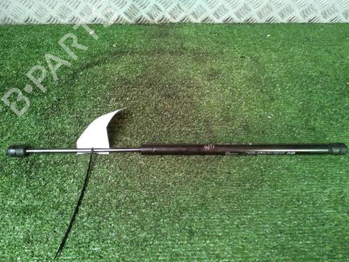 Tailgate lift support RENAULT SCÉNIC II (JM0/1_) 1.5 dCi (JM1E, JM16) | BP30073820C138