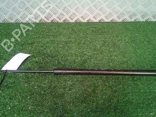 Used Tailgate lift support RENAULT GRAND SCÉNIC III (JZ0/1_) 1.9 dCi (JZ0J, JZ0N, JZ1K, JZ1S) (131 hp) 30073557