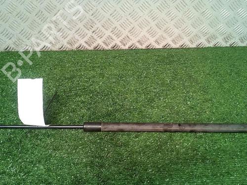 Used Tailgate lift support RENAULT GRAND SCÉNIC III (JZ0/1_) 1.9 dCi (JZ0J, JZ0N, JZ1K, JZ1S) (131 hp) 30073556