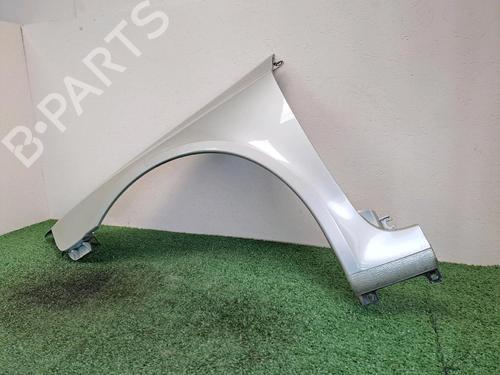 Left front fenders RENAULT LAGUNA II (BG0/1_) 1.9 dCi (BG08, BG0G) | BP25859167C41 