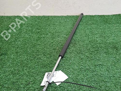 Tailgate lift support CITROËN JUMPY II (VF7)  | BP29345577C138 