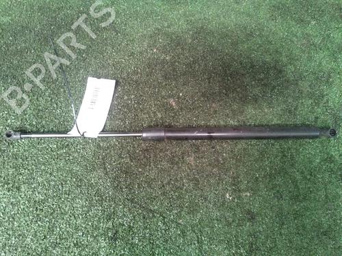 Used Tailgate lift support RENAULT SCÉNIC III (JZ0/1_) 1.5 dCi (106 hp) 17159213