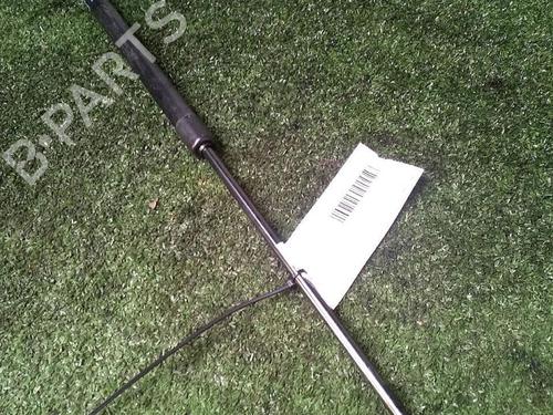Used Tailgate lift support HYUNDAI i20 III (BC3, BI3) 1.0 T-GDI hybrid 48V (101 hp) 29951208