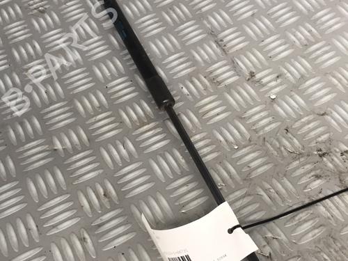 Tailgate lift support OPEL MERIVA A MPV (X03) 1.8 (E75) | BP17162903C138 
