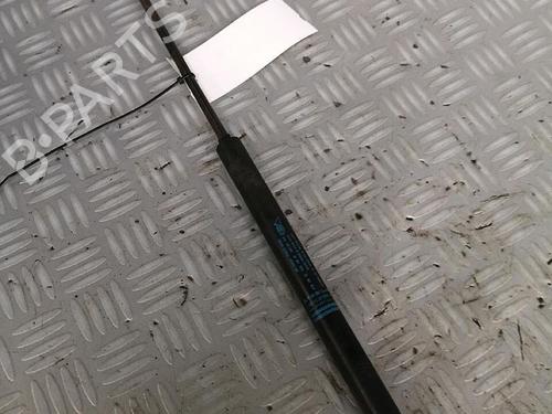 Tailgate lift support CITROËN C4 Coupe (LA_) 2.0 HDi | BP30072454C138