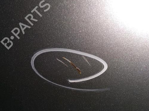 Left front door KIA CARNIVAL II (GQ) 2.9 CRDi | BP30073475C2