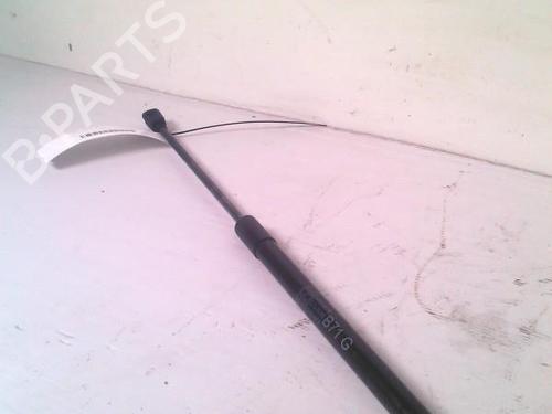 Tailgate lift support CITROËN C4 II (NC_) 1.6 HDi 90 | BP30075245C138