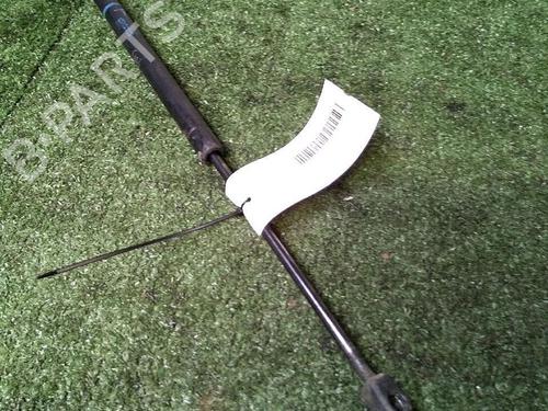 Used Tailgate lift support RENAULT SCÉNIC II (JM0/1_) 1.5 dCi (JM1E, JM16) (106 hp) 30072374