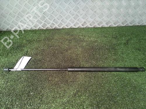 Tailgate lift support FORD KUGA I 2.0 TDCi 4x4 | BP18415752C138