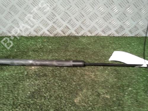 Gassdemper Bakluke RENAULT SCÉNIC III (JZ0/1_) 1.9 dCi (JZ0J, JZ1J, JZ1K, JZ1S) (131 hp) 30076039